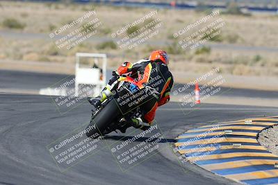 media/Feb-03-2024-SoCal Trackdays (Sat) [[767c60a41c]]/2-Turn 11 (10am)/